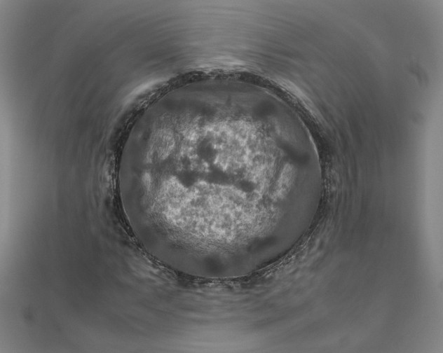 X0000111901063200908101135