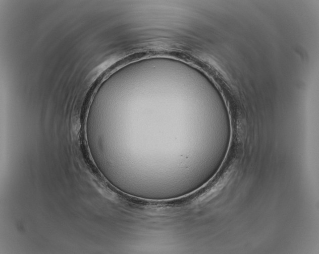 X0000111901065200908101135