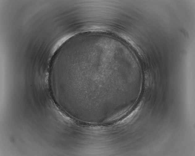 X0000111901066200908101135