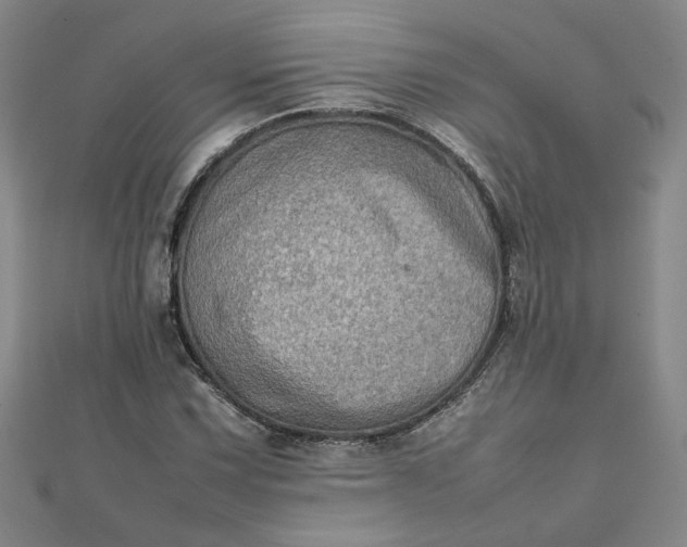 X0000111901067200908101135