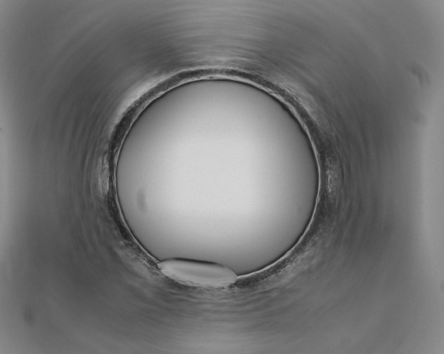 X0000111901069200908101135