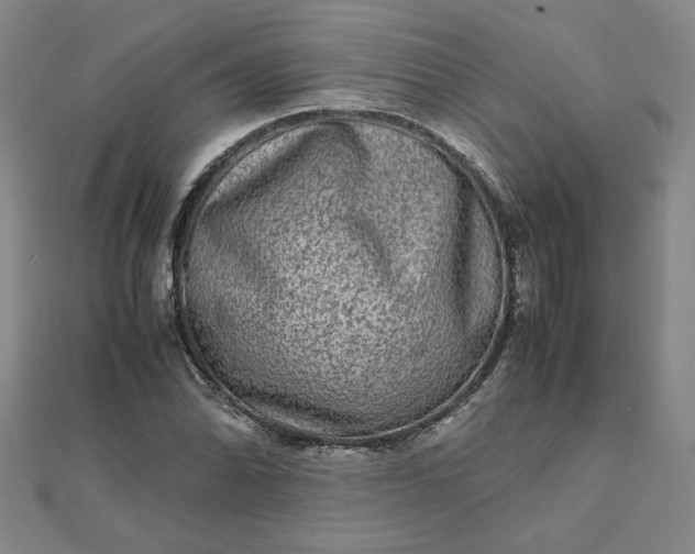 X0000111901070200908101135