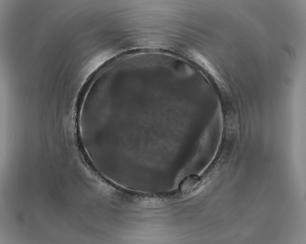 X0000111901071200908101135