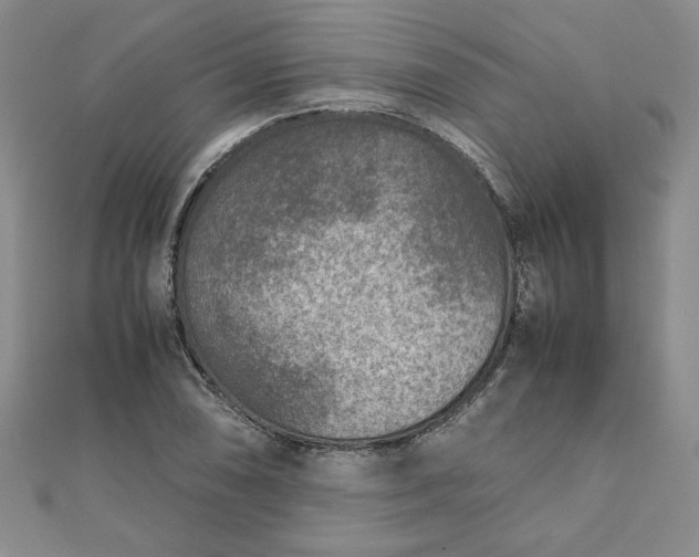 X0000111901074200908101135