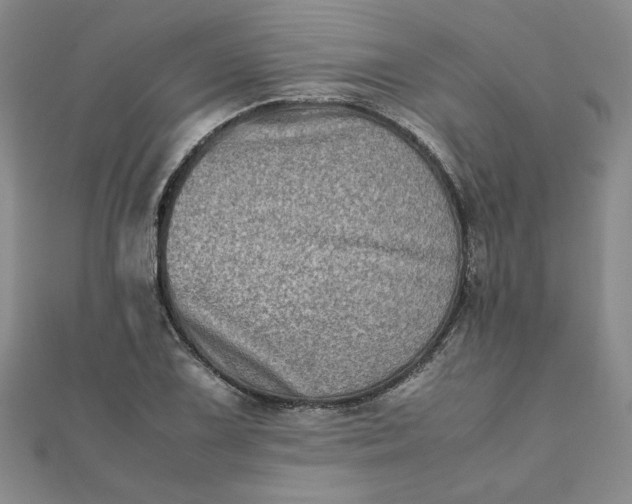 X0000111901075200908101135