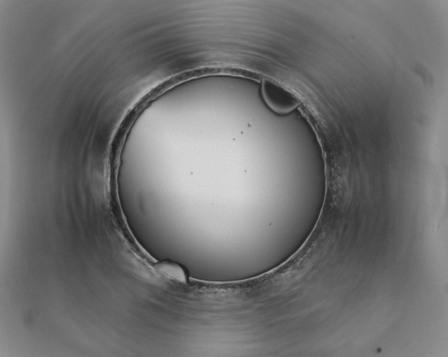 X0000111901076200908101135