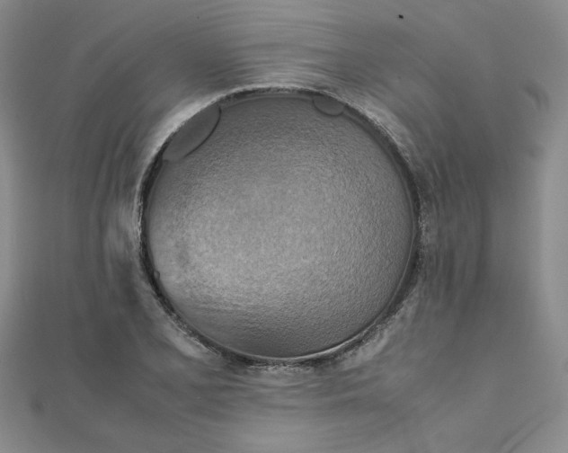 X0000111901077200908101135