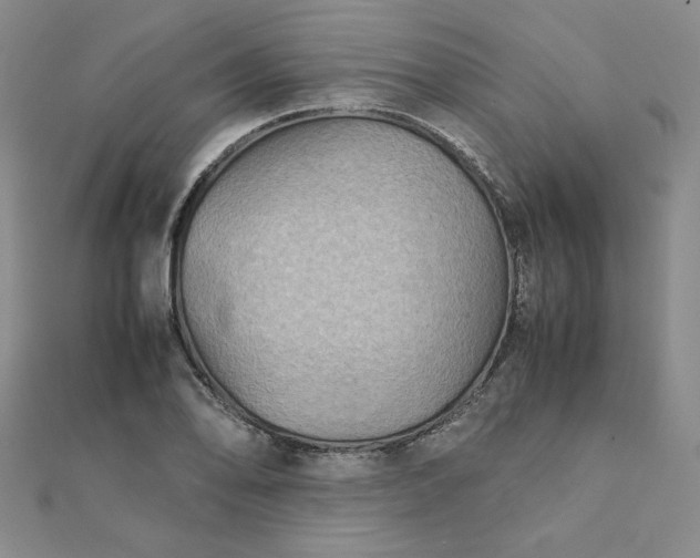 X0000111901078200908101135