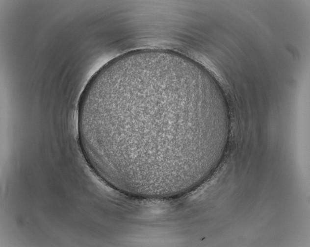 X0000111901079200908101135