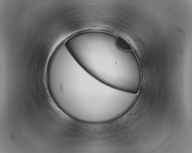 X0000111901080200908101135