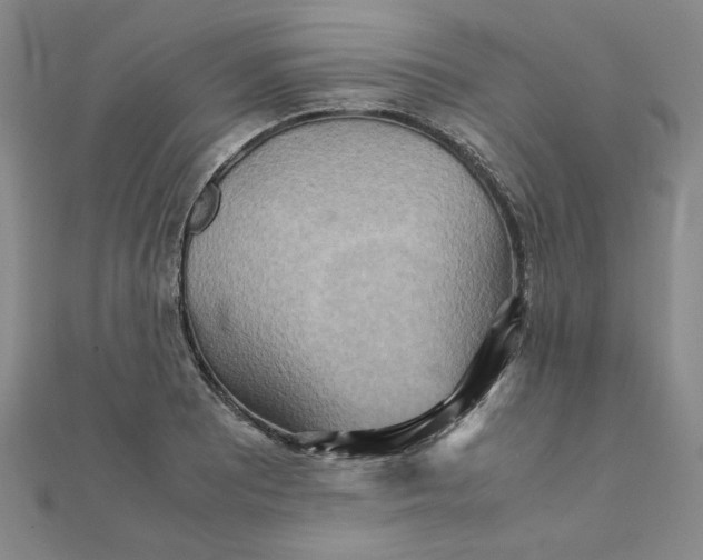 X0000111901081200908101135