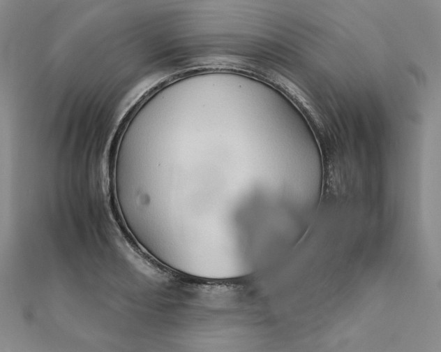 X0000111901082200908101135