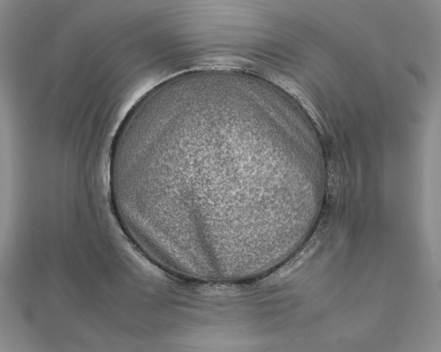 X0000111901083200908101135