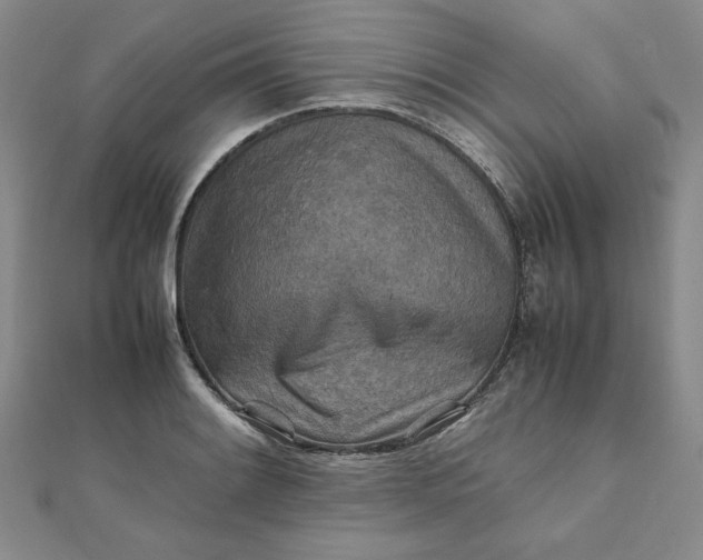 X0000111901084200908101135