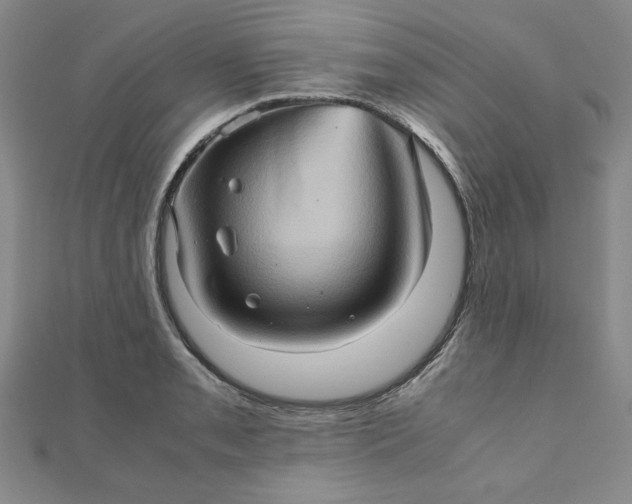 X0000111901085200908101135