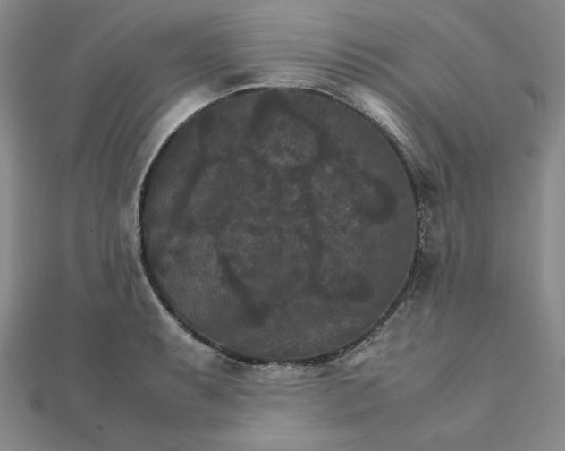 X0000111901087200908101135