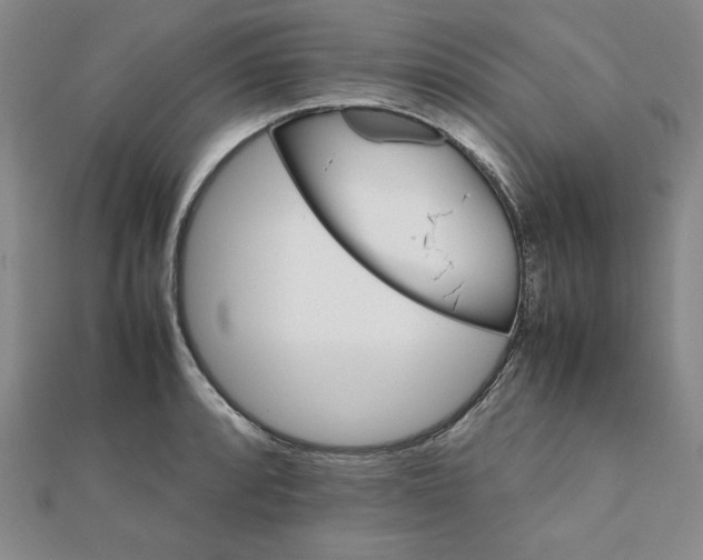 X0000111901088200908101135