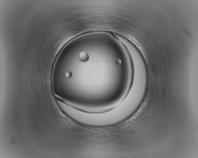 X0000111901089200908101135