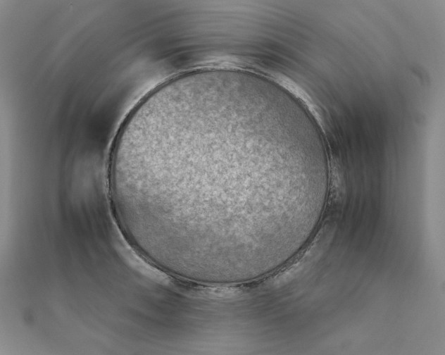 X0000111901090200908101135