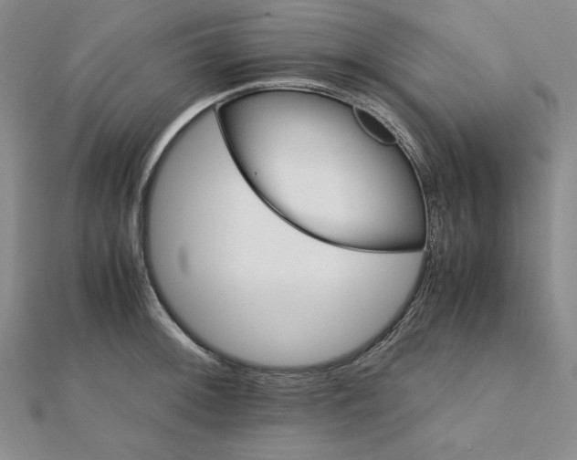 X0000111901092200908101135