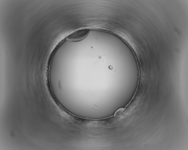 X0000111901093200908101135