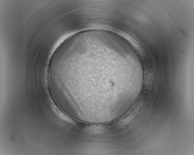 X0000111901094200908101135