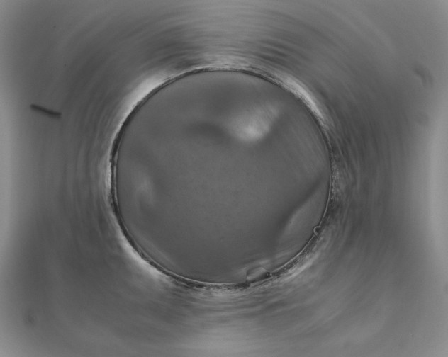 X0000111901095200908101135