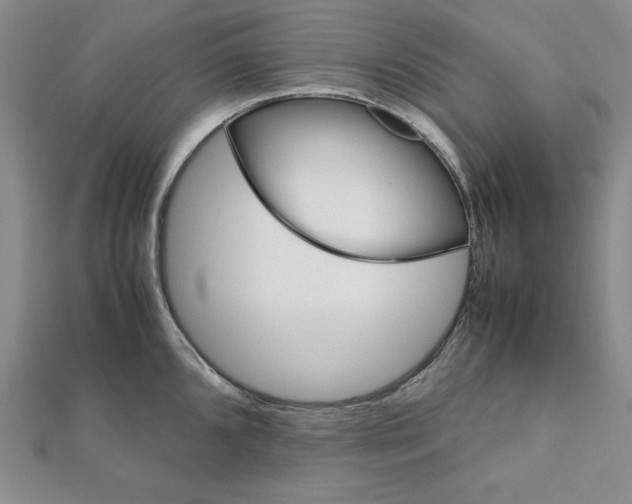 X0000111901096200908101135