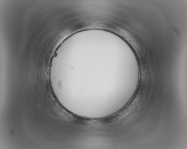 X0000111901097200908101135