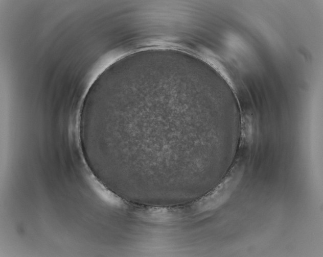 X0000111901098200908101135