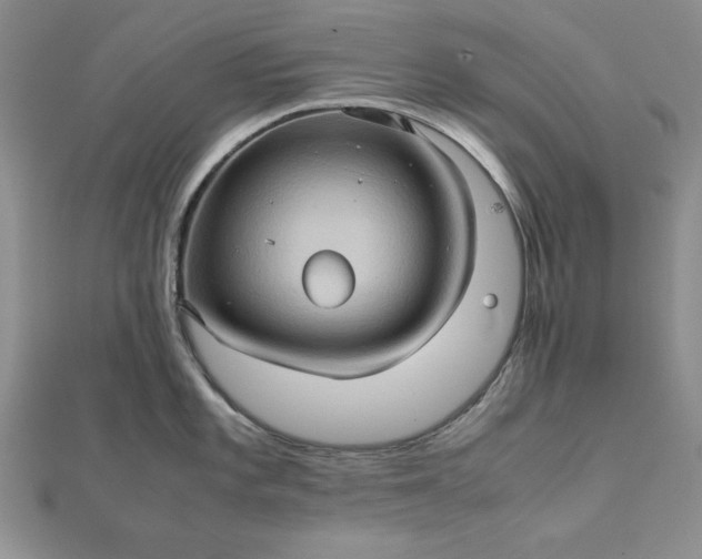 X0000111901101200908101135