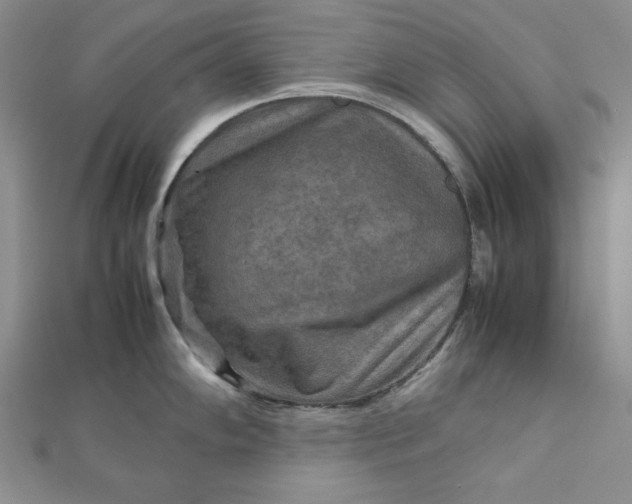 X0000111901102200908101135