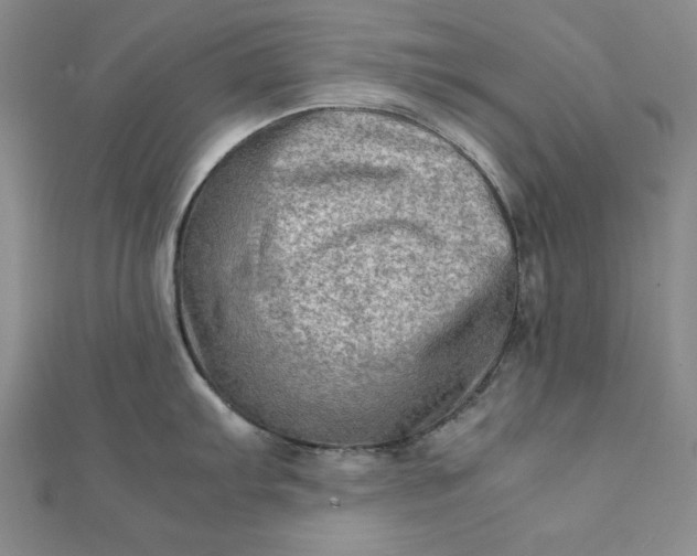 X0000111901103200908101135