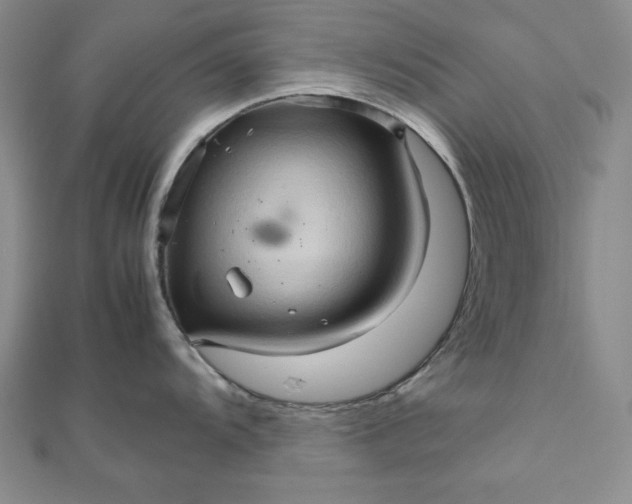 X0000111901104200908101135