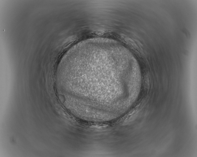 X0000111901105200908101134