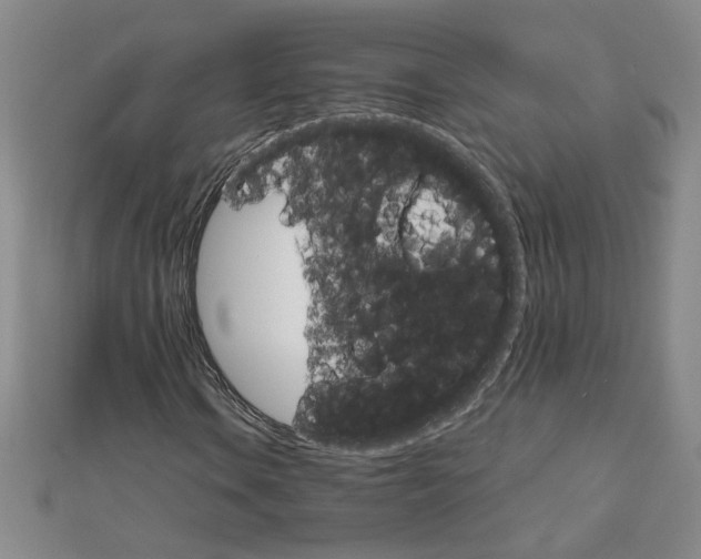 X0000111901106200908101134