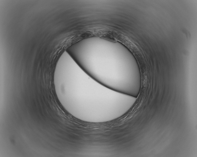 X0000111901108200908101134