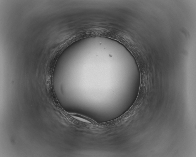 X0000111901109200908101134