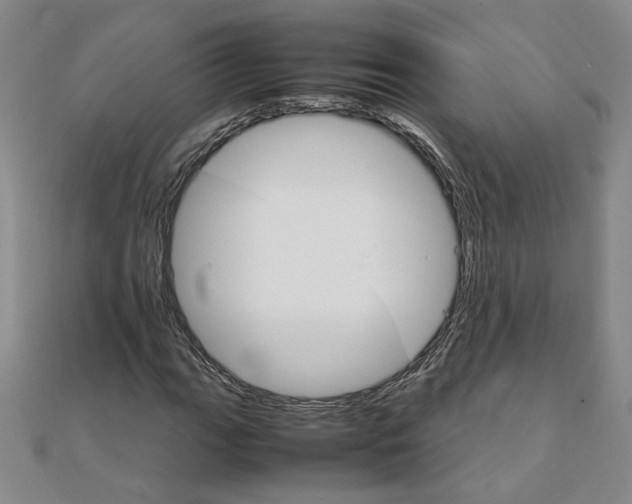 X0000111901111200908101134