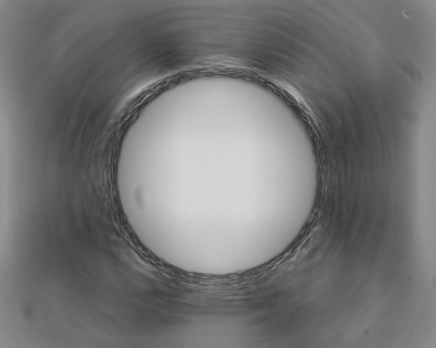 X0000111901112200908101134