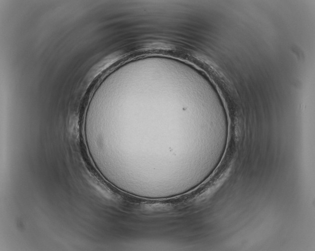 X0000111901113200908101134