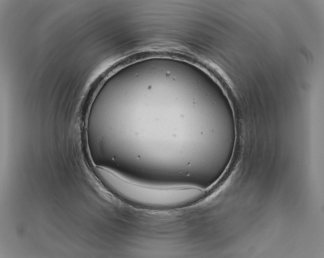 X0000111901114200908101134