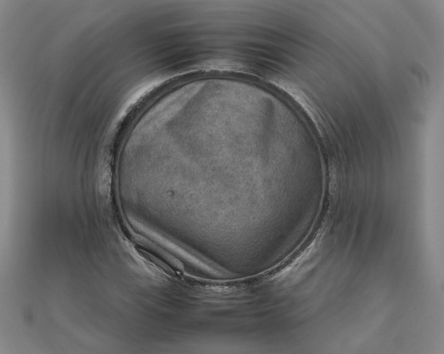 X0000111901115200908101134