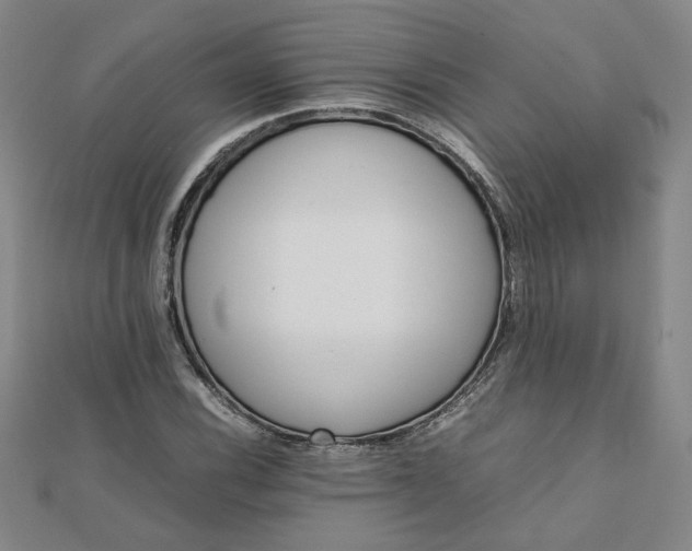 X0000111901116200908101134