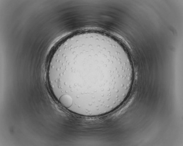 X0000111901117200908101134