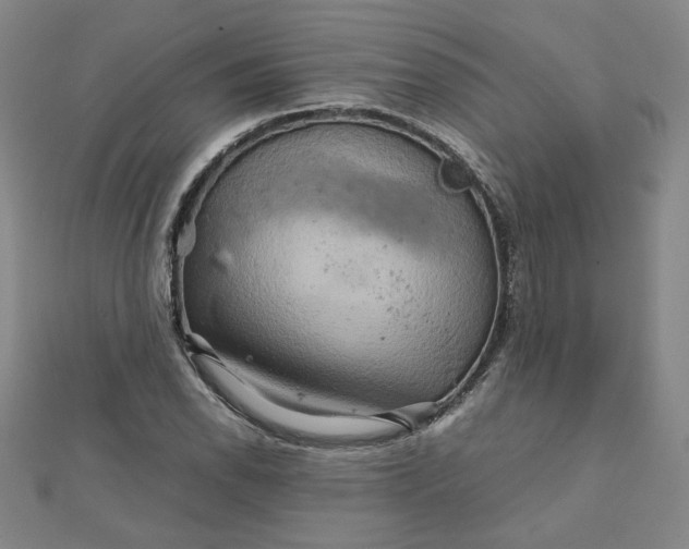 X0000111901118200908101134