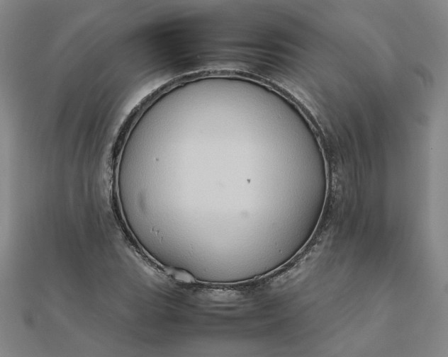 X0000111901119200908101134