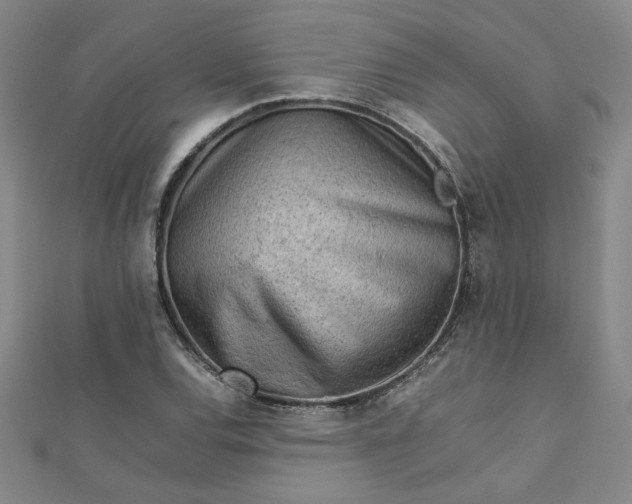 X0000111901120200908101134