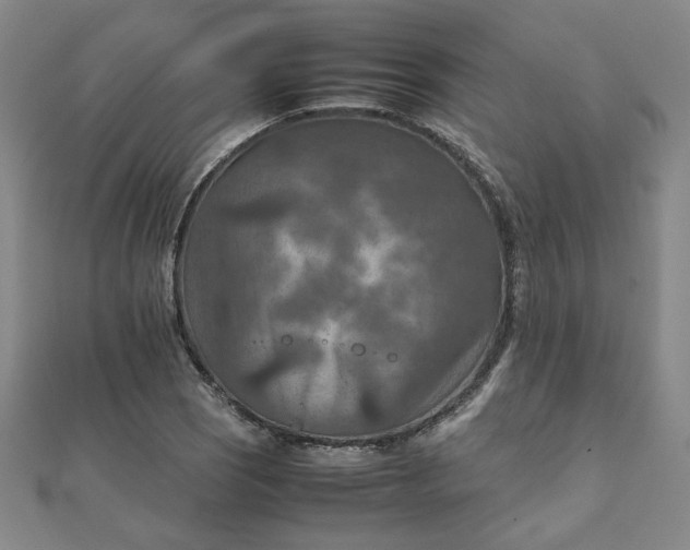 X0000111901121200908101134