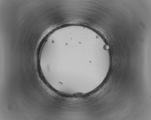 X0000111901122200908101134